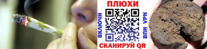 Купить где  Камбарка  Гашиш Cannabis 