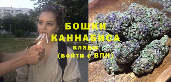 ГАЛЛЮЦИНОГЕННЫЕ ГРИБЫ Каменногорск