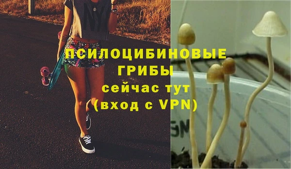 Альфа ПВП Каменск-Шахтинский