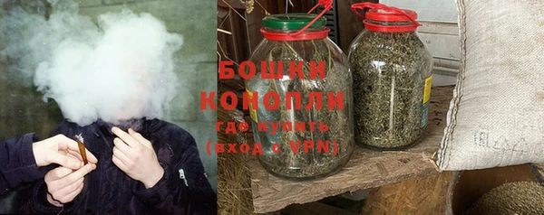 молекула духа Касимов
